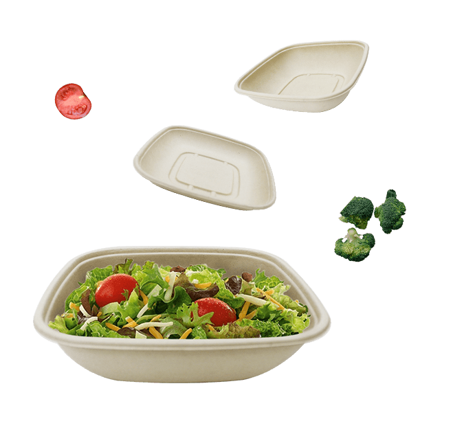 1,000ml 3 Compartment Quality Hinged Lid Salad Container