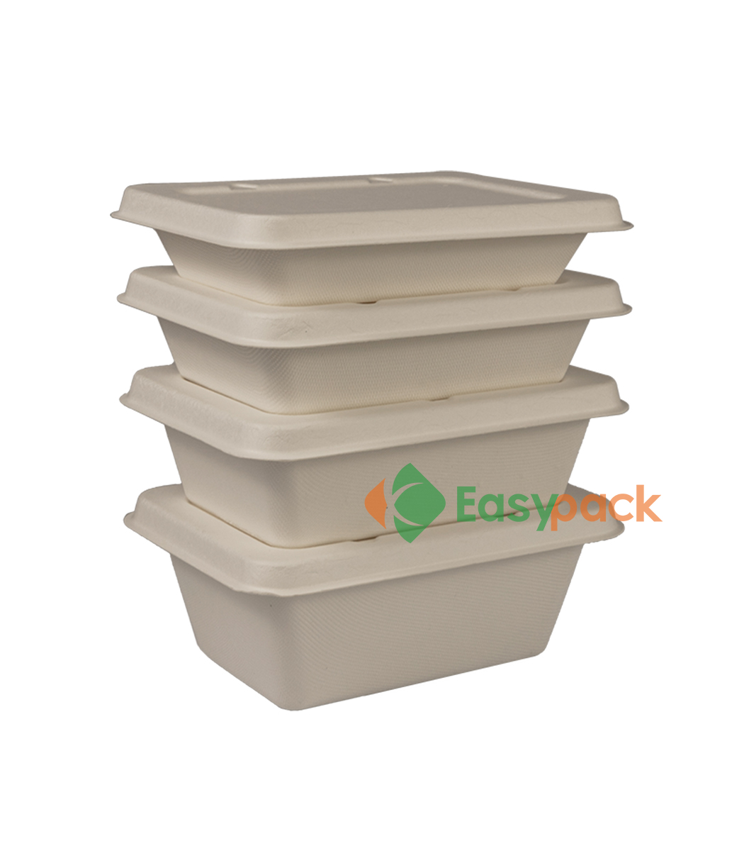 Biodegradable Plastic Container Food Packaging Containers Manufacturer