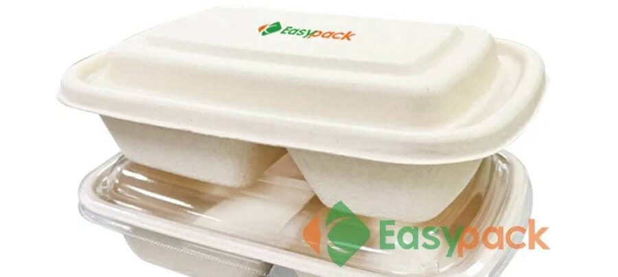 Comparing brown kraft paper packaging boxes and sugarcane bagasse eco-friendly containers for the U.S. foodservice procurement market.