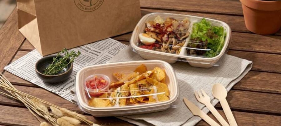 BPI-certified biodegradable sugarcane bagasse food containers with multi-compartment layouts by Easypack