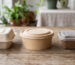 Plant Fiber Container Materials Compared: Bagasse vs Bamboo Fiber vs Rice Husk for B2B Buyers