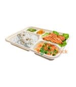 Rectangular 5-Compartment Bagasse Container