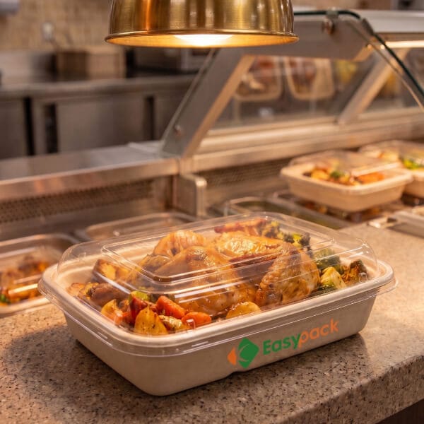 Bagasse Hot Food Bento Box