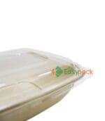 Square Bagasse Takeout Box 24 oz