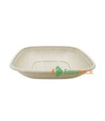 Square Bagasse Takeout Box 32 oz