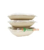 Extra-Large Square Bagasse Salad Box 48 oz