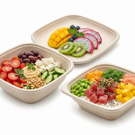 Sugarcane Bagasse Salad Boxes & Bowls