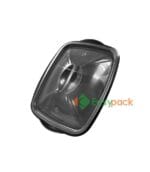 2-Compartment Microwaveable Bento Box 900ml (PP)