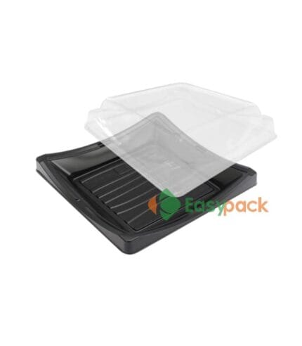 Square Plastic Sushi Box